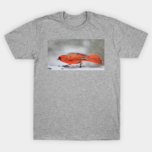 tippy-toe through the snow T-Shirt by LaurieMinor